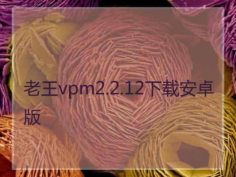 老王vpm2.2.12下载安卓版 老王vpm2.2.12下载安卓版