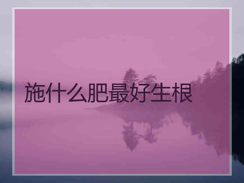 施什么肥最好生根 施什么肥最好生根