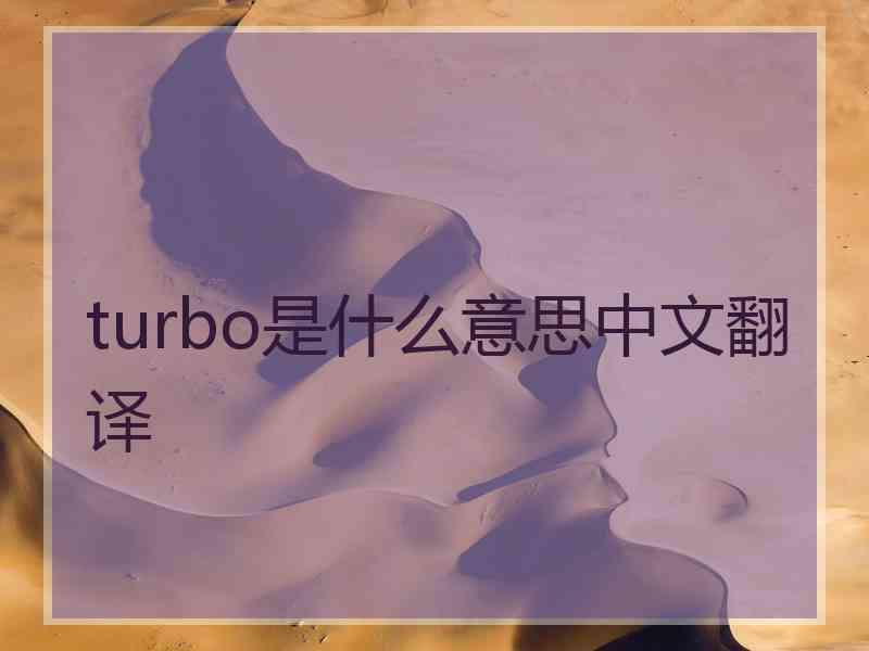 turbo是什么意思中文翻译