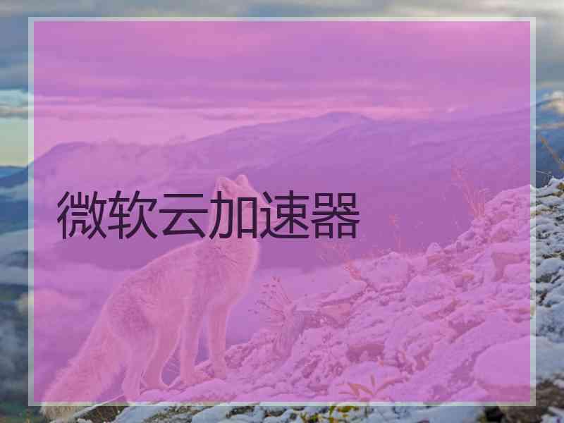 微软云加速器