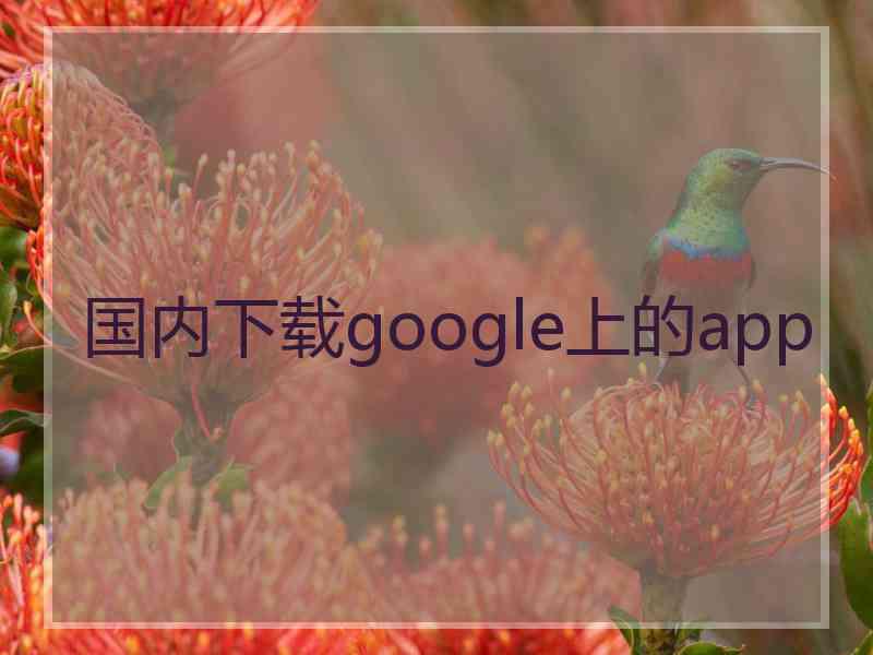 国内下载google上的app