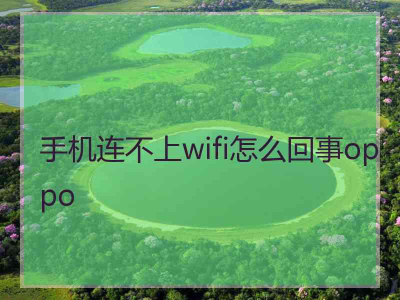 手机连不上wifi怎么回事oppo