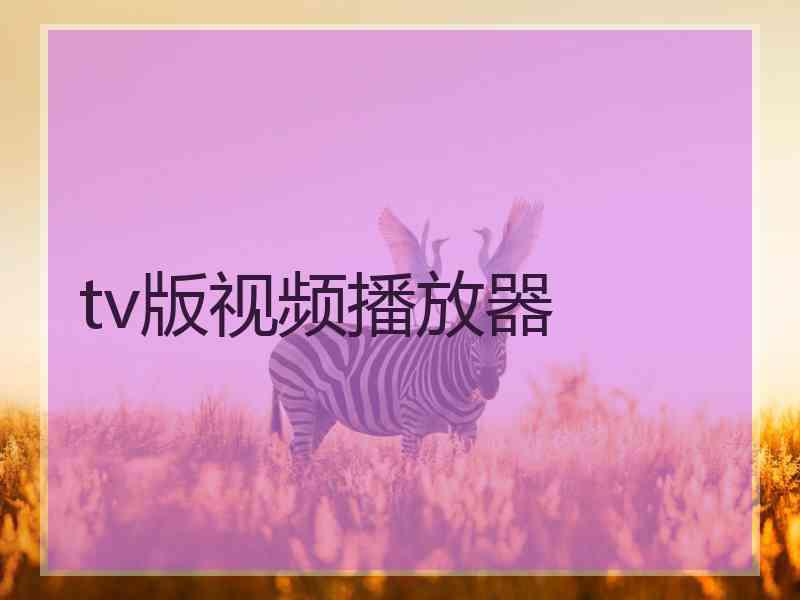 tv版视频播放器