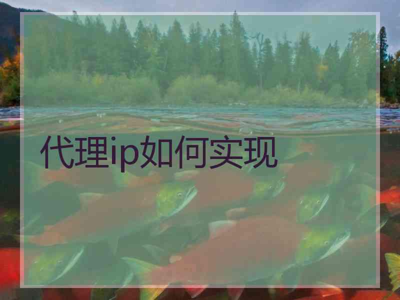 代理ip如何实现