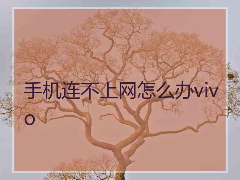 手机连不上网怎么办vivo