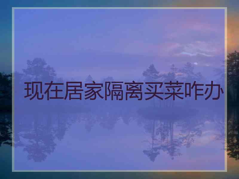 现在居家隔离买菜咋办