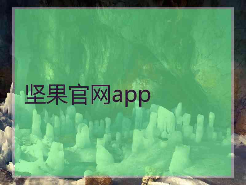 坚果官网app