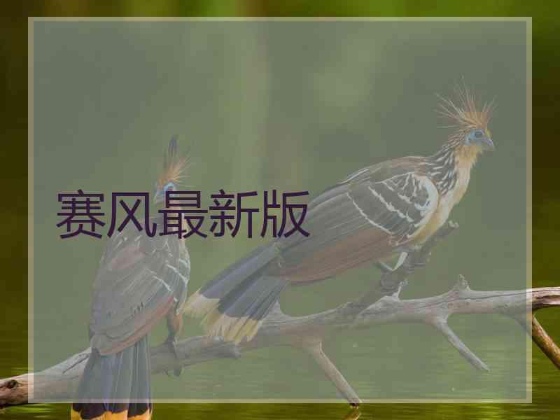 赛风最新版