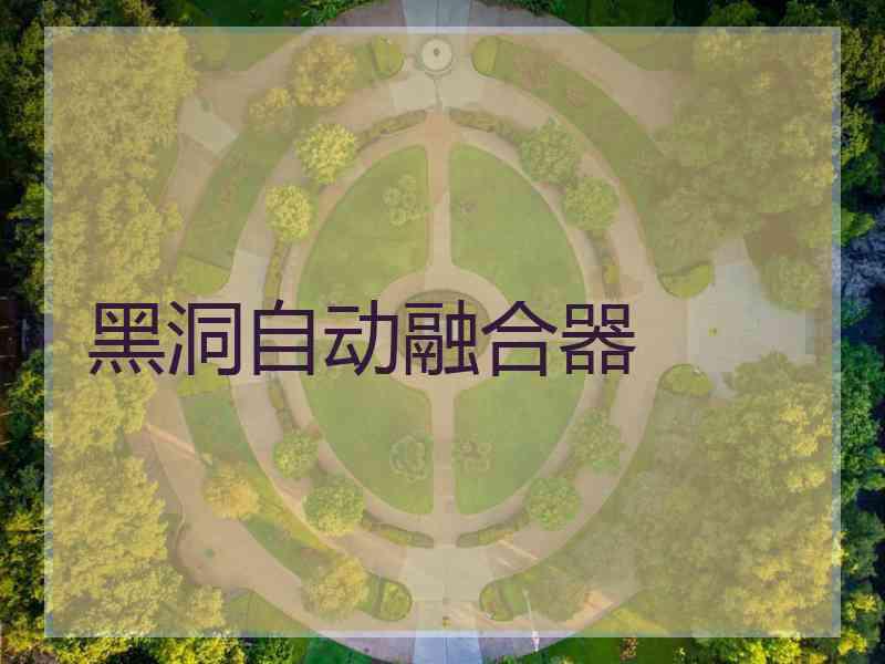 黑洞自动融合器