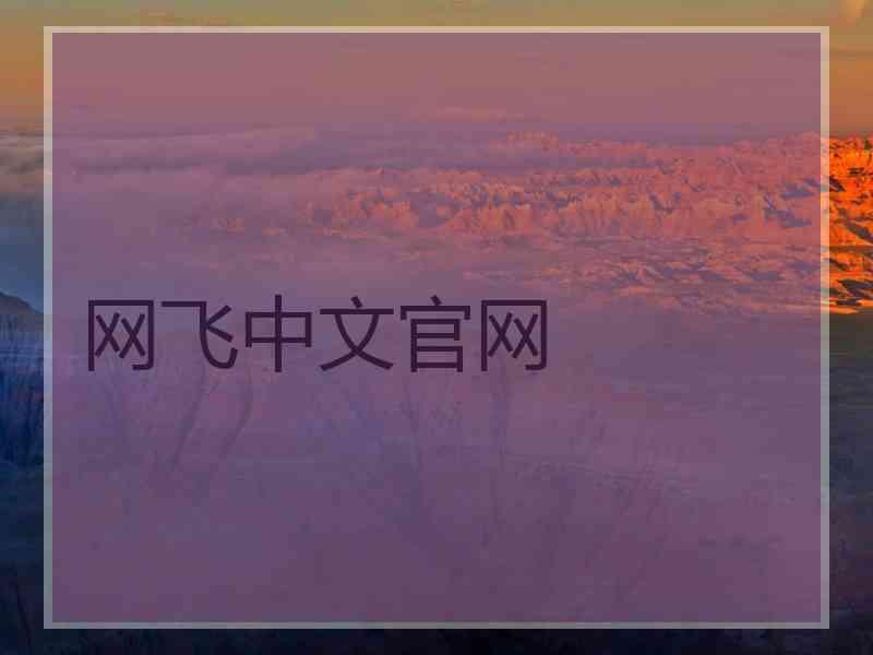 网飞中文官网