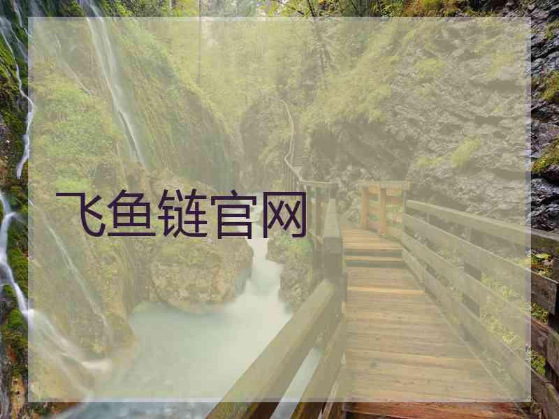 飞鱼链官网