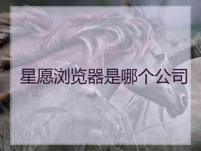 星愿浏览器是哪个公司