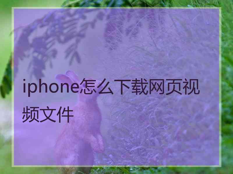 iphone怎么下载网页视频文件