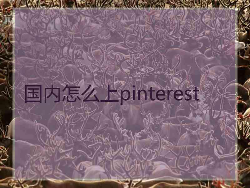 国内怎么上pinterest