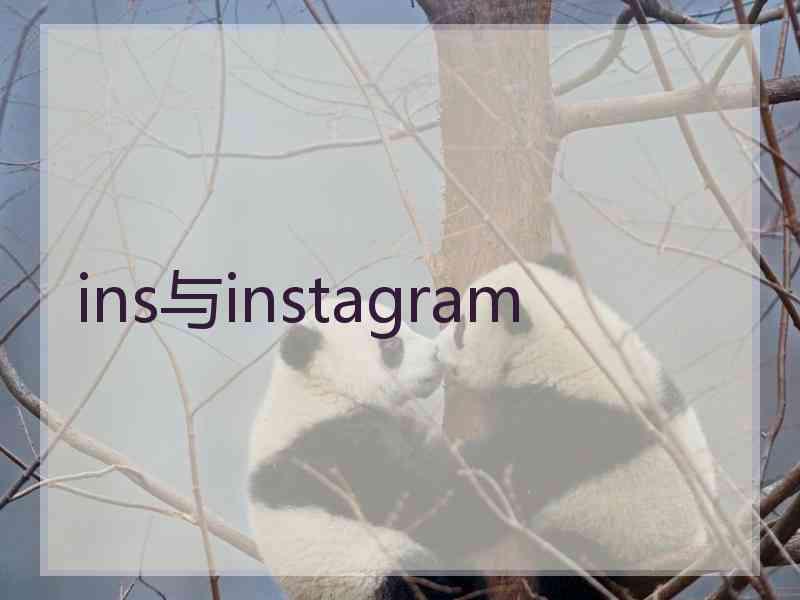 ins与instagram