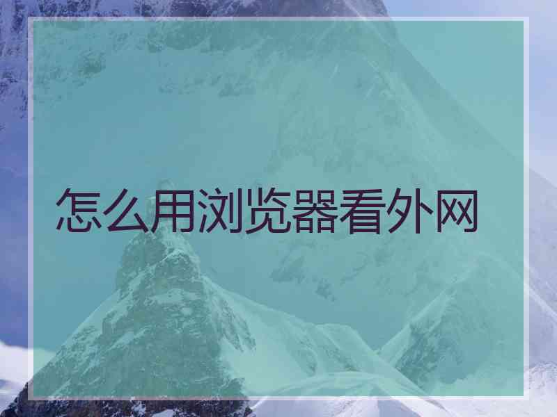 怎么用浏览器看外网