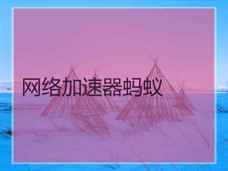 网络加速器蚂蚁