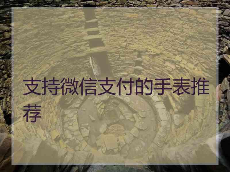 支持微信支付的手表推荐