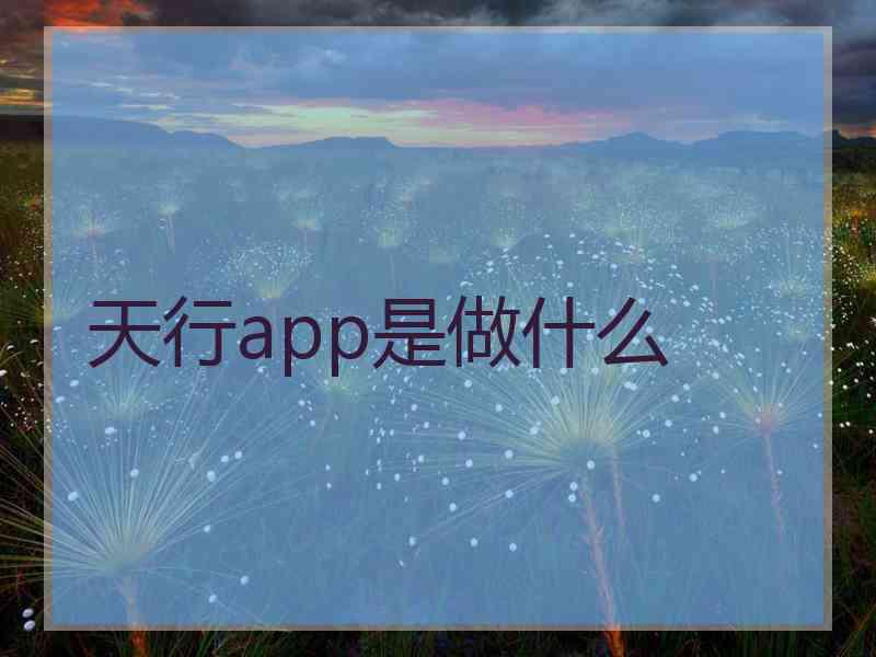 天行app是做什么