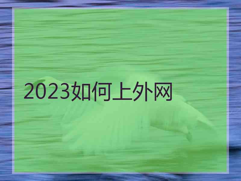 2023如何上外网