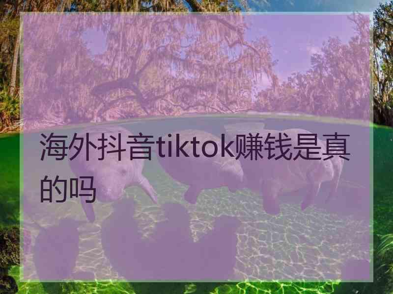 海外抖音tiktok赚钱是真的吗