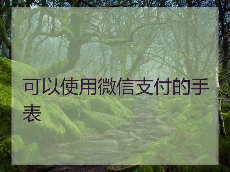 可以使用微信支付的手表