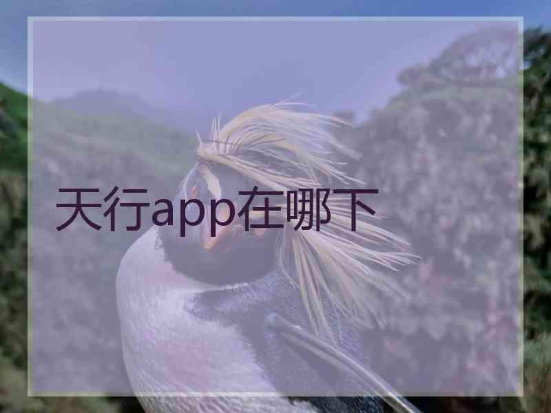天行app在哪下