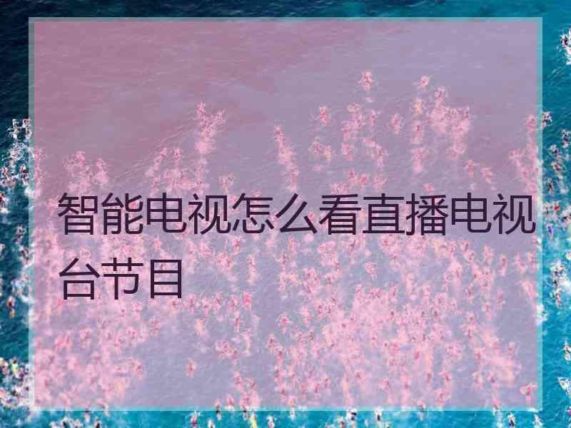 智能电视怎么看直播电视台节目