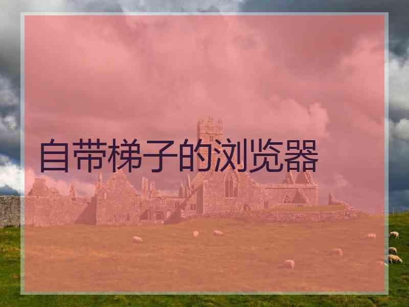自带梯子的浏览器