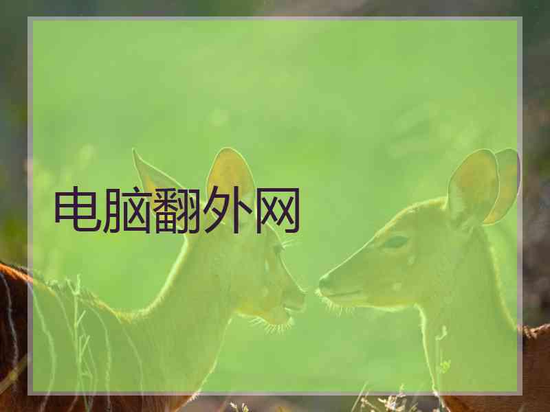 电脑翻外网