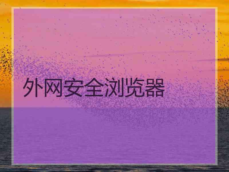 外网安全浏览器