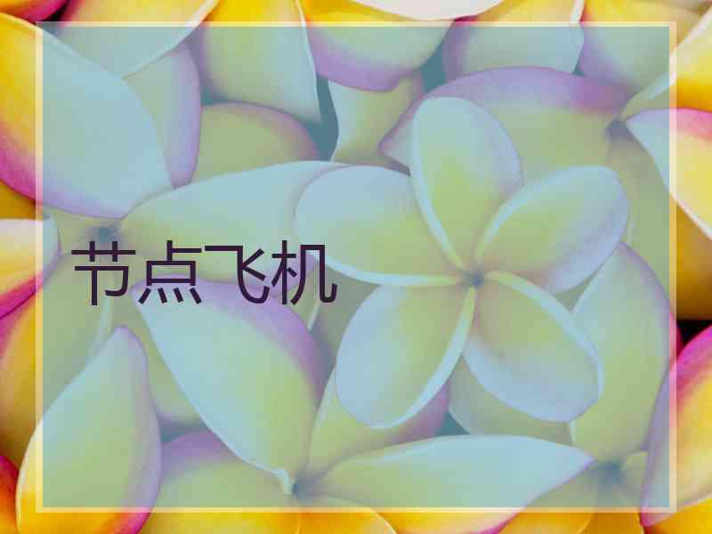 节点飞机