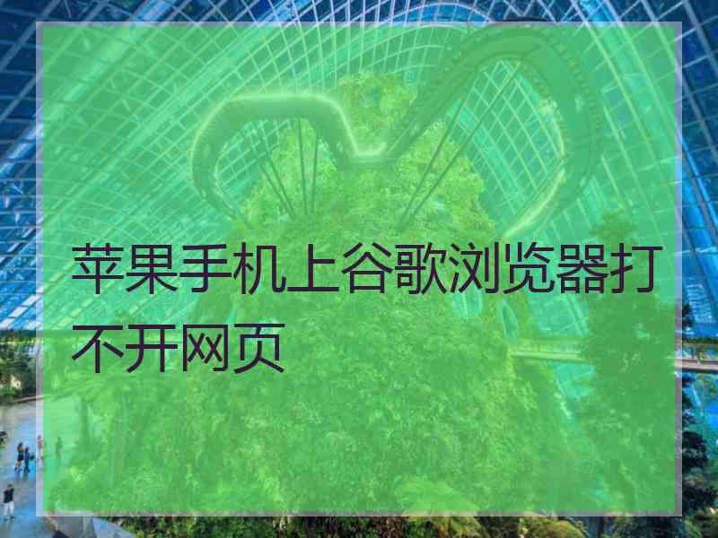 苹果手机上谷歌浏览器打不开网页