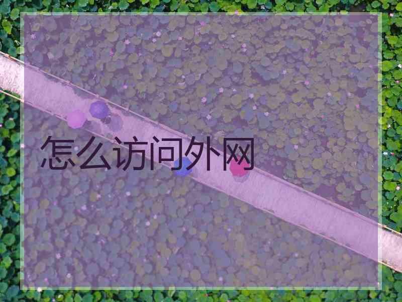 怎么访问外网