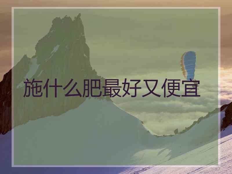 施什么肥最好又便宜