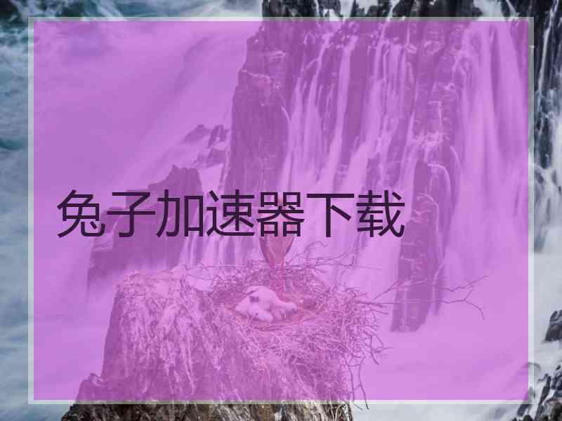 兔子加速器下载