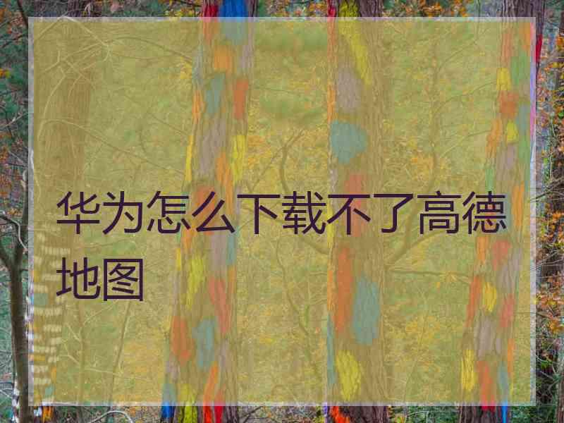 华为怎么下载不了高德地图