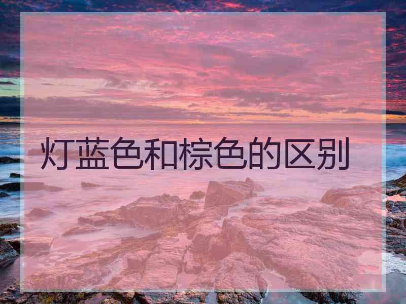灯蓝色和棕色的区别