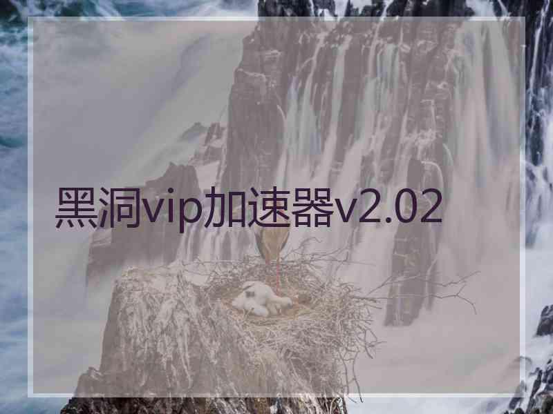 黑洞vip加速器v2.02