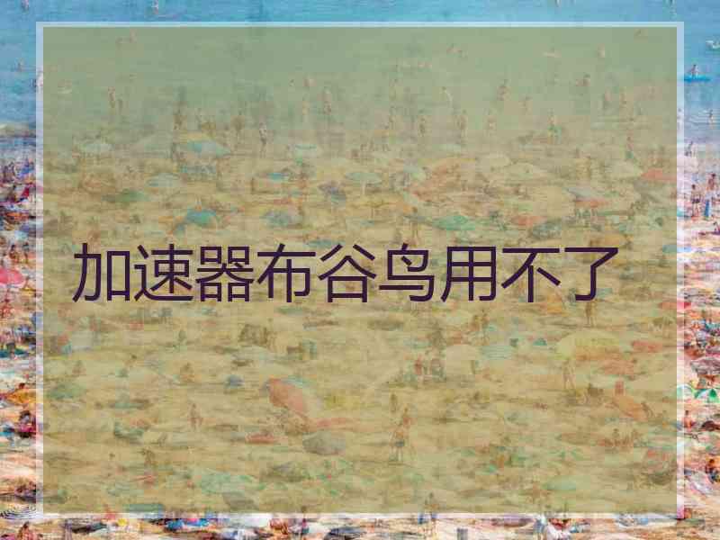 加速器布谷鸟用不了