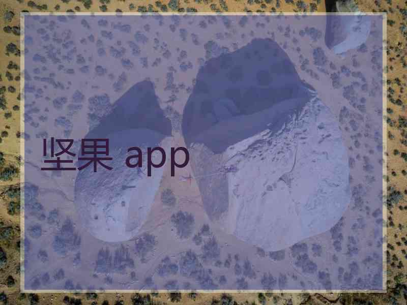 坚果 app