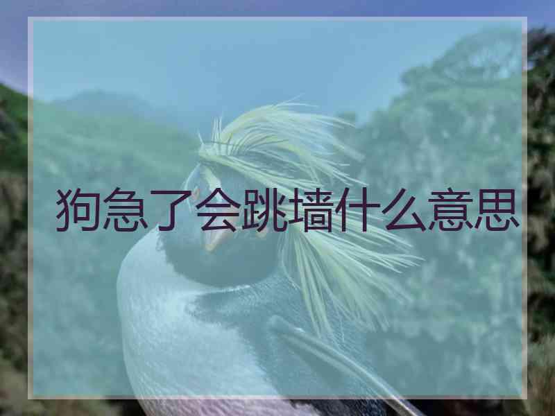 狗急了会跳墙什么意思