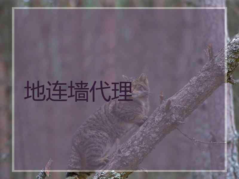 地连墙代理