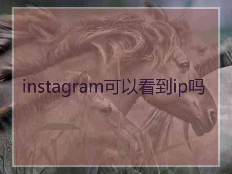 instagram可以看到ip吗