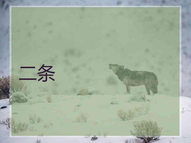 二条