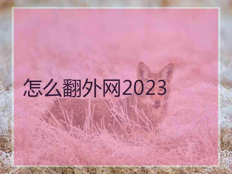 怎么翻外网2023