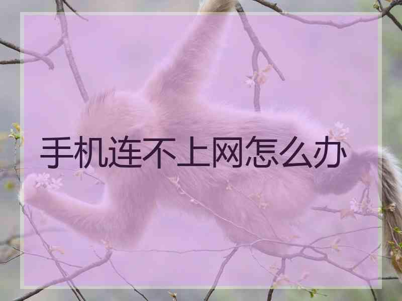 手机连不上网怎么办