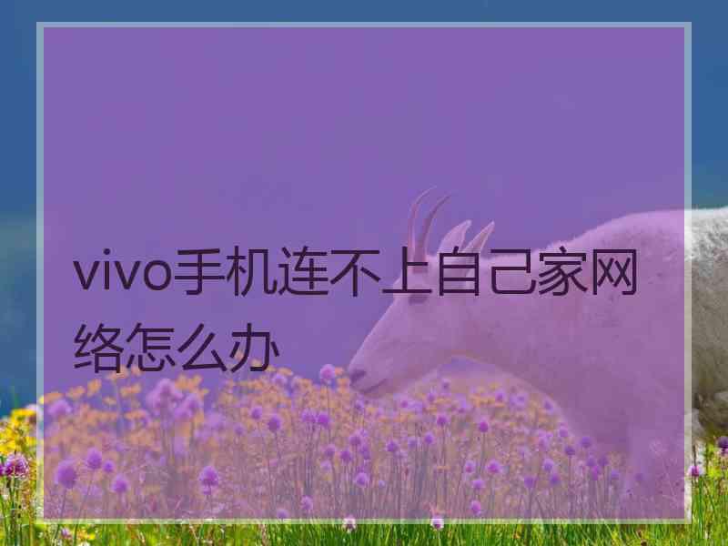 vivo手机连不上自己家网络怎么办