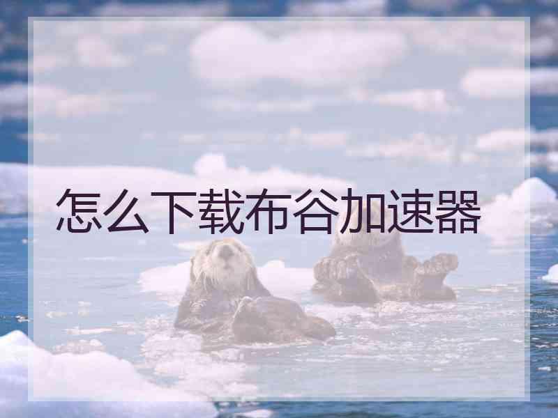 怎么下载布谷加速器
