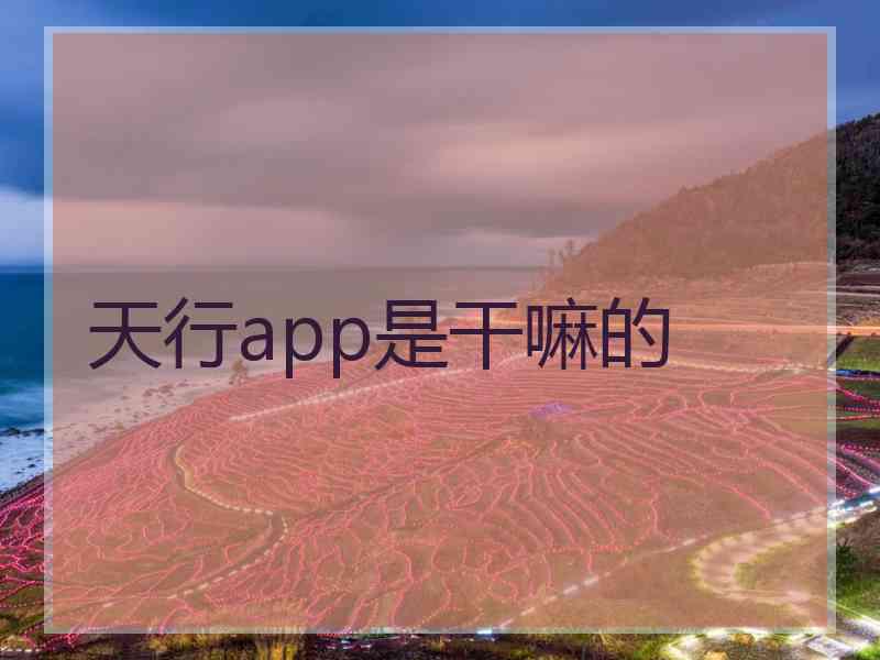 天行app是干嘛的